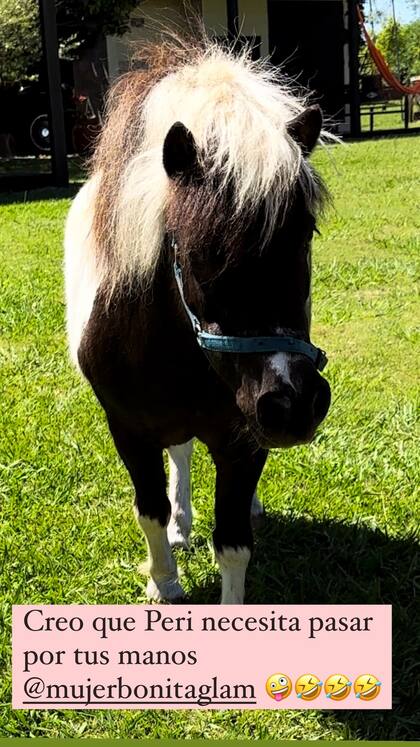 Nicole Neumann compartió con sus seguidores una postal del caballo, Peri. (Foto: Instagram @nikitaneumannoficial)