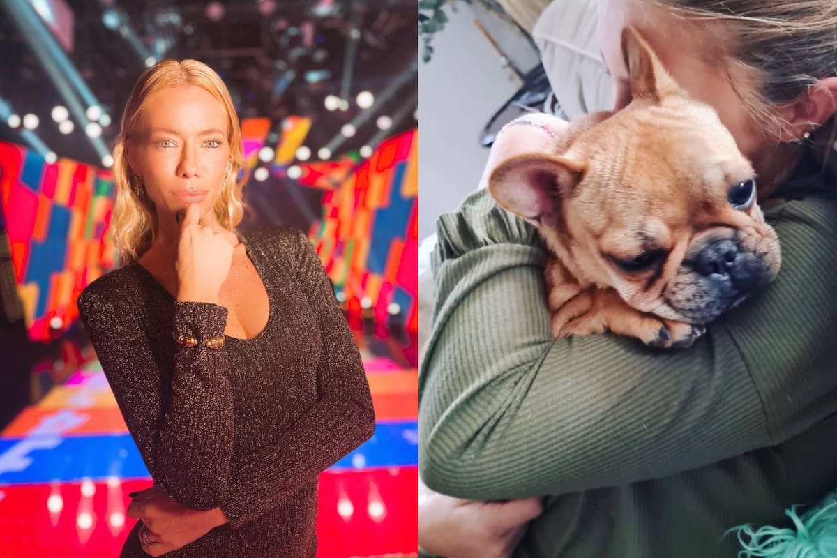 Nicole Neumann denunció que le robaron una perrita: “Devuelvan a nuestra Shiva”