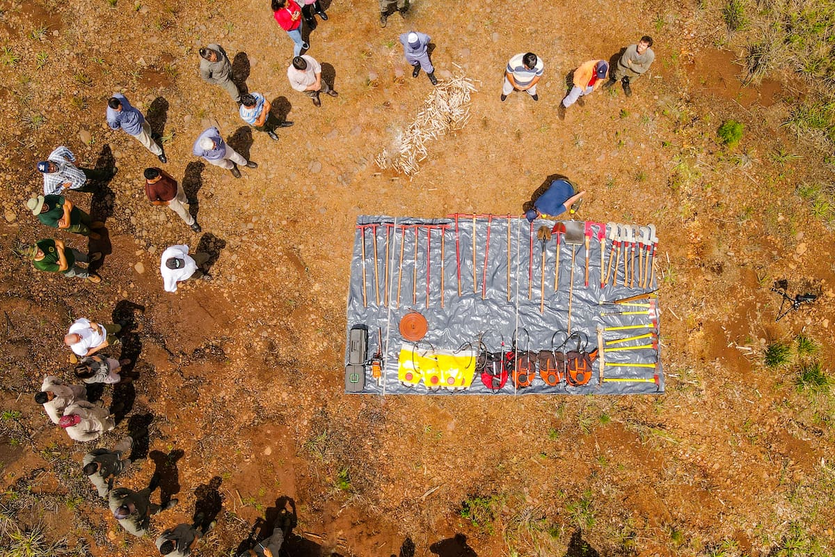 Nideport es una empresa desarrolladora de proyectos de créditos de carbono