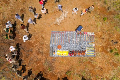 Nideport es una empresa desarrolladora de proyectos de créditos de carbono