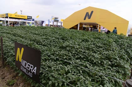Nidera Semillas también estuvo soja en su plot