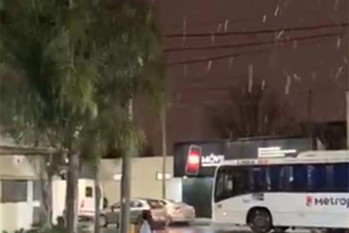 Nieve en Buenos Aires: vecinos registraron la caída de copos de diverso tamaño