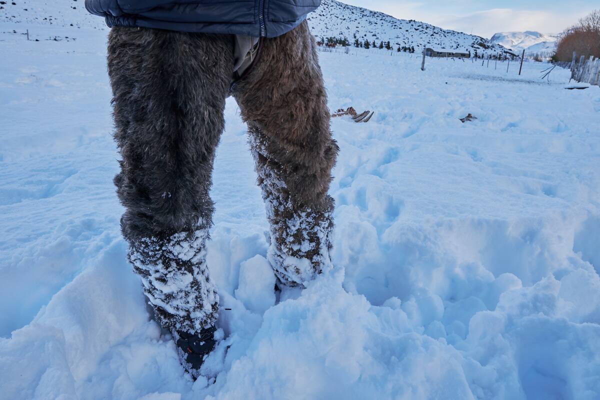 Nieve en el noreste: Los condados de Cambria y Somerset en Pensilvania podrían recibir entre 15 y 30 centímetros de nieve en las próximas horas