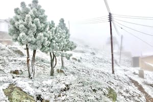 Nieve en Potrerillos, Mendoza