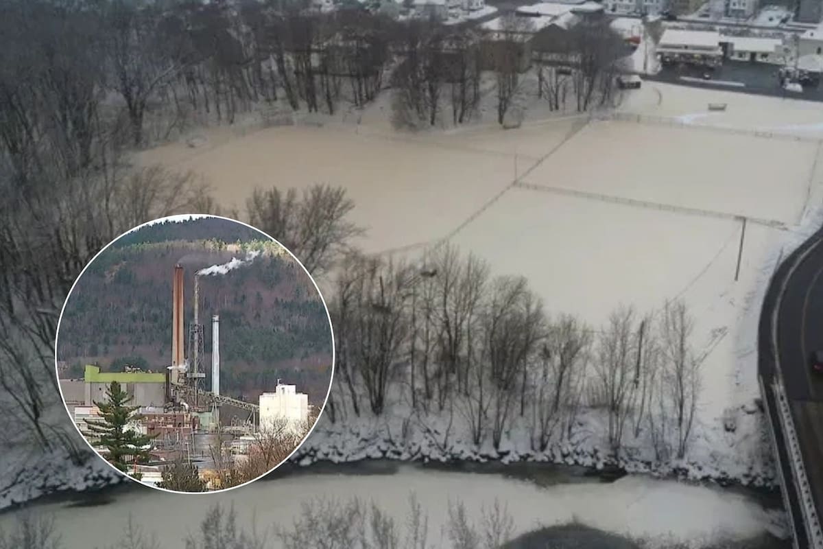 Nieve marrón en Maine