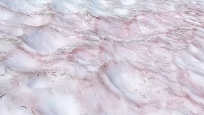 Nieve roja en el parque Yosemite, Estados Unidos