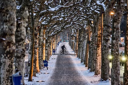 Nieve y hielo paralizan vuelos y bloquean carreteras en partes de Europa