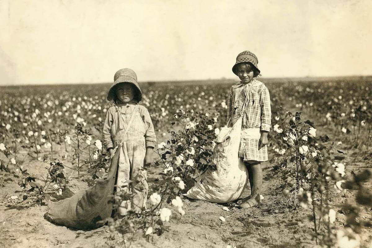 Niñas trabajadoras en la cosecha de algodón