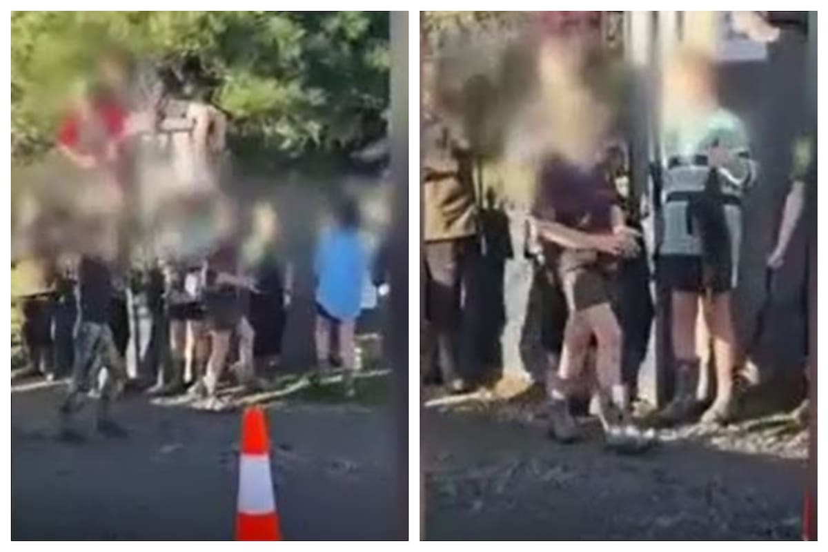 Niños desfilaron con gatos muertos en una competencia en Nueva Zelanda.