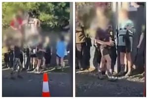 Niños desfilaron con gatos muertos en una competencia en Nueva Zelanda.