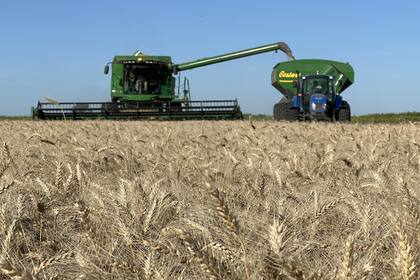 “No alcanza con un buen año productivo si persisten la infraestructura insuficiente, la logística cara y la carga fiscal excesiva”, advirtió la SRA