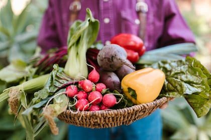 No dejes que tus verduras se arruinen en la huerta. Cosechá todo lo que está listo y poné lo que no usas en el freezer.