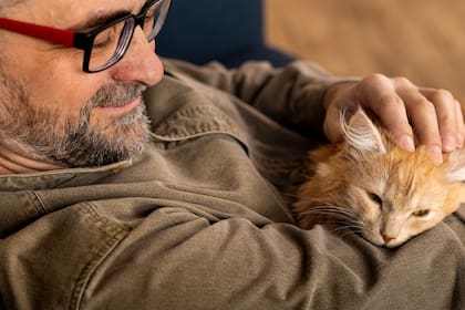 No es solo sueño: el motivo científico por el que tu gato decide dormir arriba de tu pecho (Foto ilustrativa Freepik)