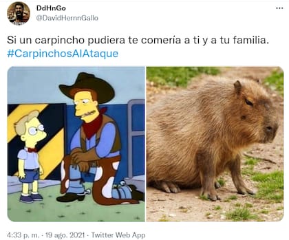 No faltaron referencias a Los Simpson en los memes sobre carpinchos. Fuente: Twitter.