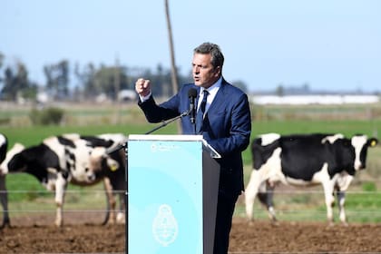 "No nos entra un quilombo más", dijo Sergio Massa al pedir el jueves unificar la oferta electoral peronista