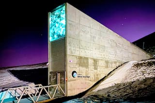 En el Ártico, la bóveda de semillas para enfrentar el fin del mundo