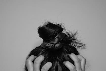 No podamos evitar los contratiempos, pero sí nuestra respuesta a ellos