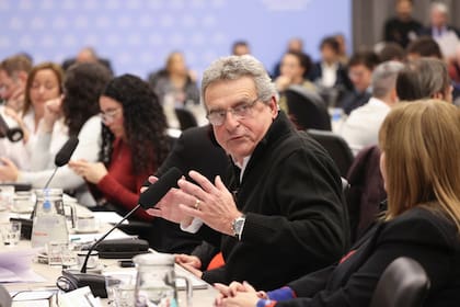 "No podemos aprobar en este Congreso una ley que nos beneficia a nosotros", dijo Agustín Rossi
