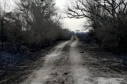 No queda nada después de los incendios