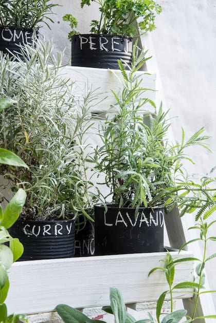 No se debe usar agua oxigenada en exceso para formar nuevas plantas, ya que puede dañar las raíces jóvenes y afectar su crecimiento