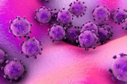 No se sabe cuánto se propaga el virus durante el período de incubación