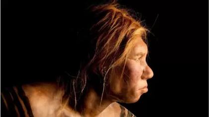 No se sabe en qué se diferenciaban las hembras de Neandertal de los machos.