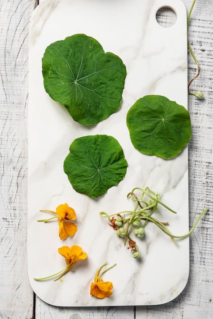 No se trata de consumir solo los alimentos que producimos, sino también de apreciar la diversidad y la belleza que estos jardines ofrecen. Las flores comestibles, como las violetas y las caléndulas, agregan un toque de color a nuestros platos, pero además nos permiten explorar nuevos sabores y texturas