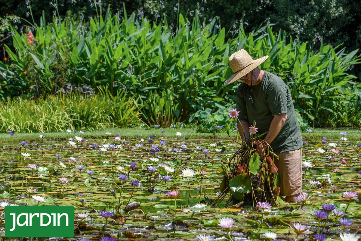 No se trata solo de elegir plantas lindas: la clave está en dónde y cómo se plantan