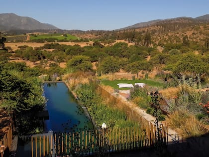 No se utiliza ningún químico en el mantenimiento de la piscina, todo el proceso de purificación es biológico