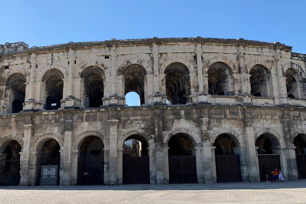 No solo leones, osos y gladiadores: los perros salchicha también salían a la arena del Coliseo romano