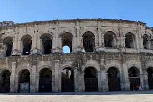 No solo leones, osos y gladiadores: los perros salchicha también salían a la arena del Coliseo romano
