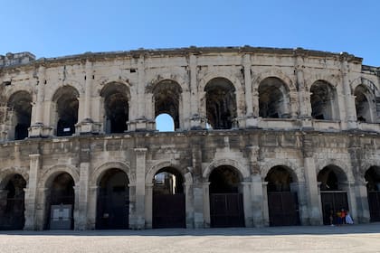 No solo leones, osos y gladiadores: los perros salchicha también salían a la arena del Coliseo romano