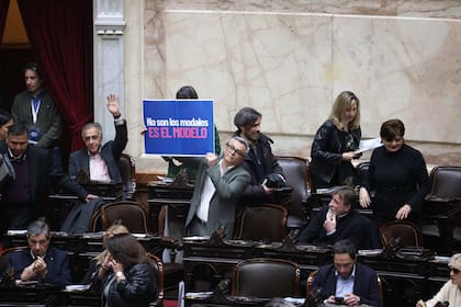 "No son los modales, es el modelo", dice el cartel que levanta el socialista Esteban Paulón