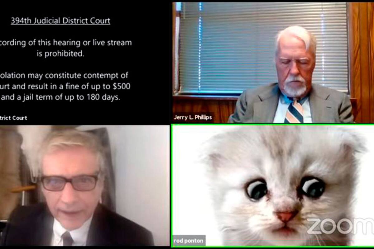 "No soy un gato", dijo el fiscal