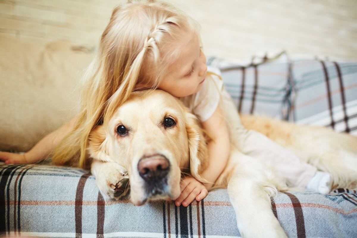 No tiene que ver con el tamaño del perro, de hecho los labradores y los golden son enormes, si no con características de la raza