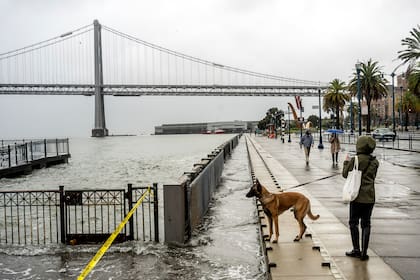 No todas las zonas aledañas a la Bahía corren riesgo de hundimiento sostenido