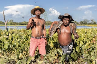 El caribe Colombiano: realismo mágico, sensualidad y resiliencia