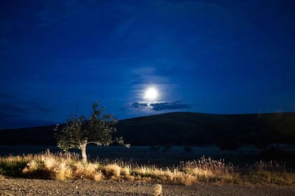 Noche de luna llena en la estancia Monte de León