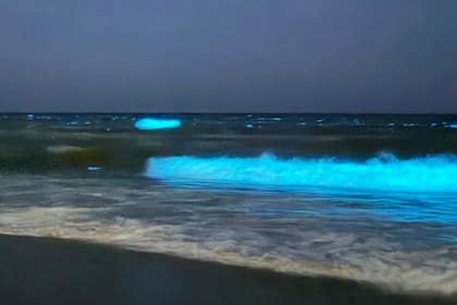 Noctilucas en la playa de Punta del Este
Foto: X/Maru Bercon