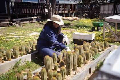 Nona Caracciolo, una de las guardaparques de Punta de Lobos