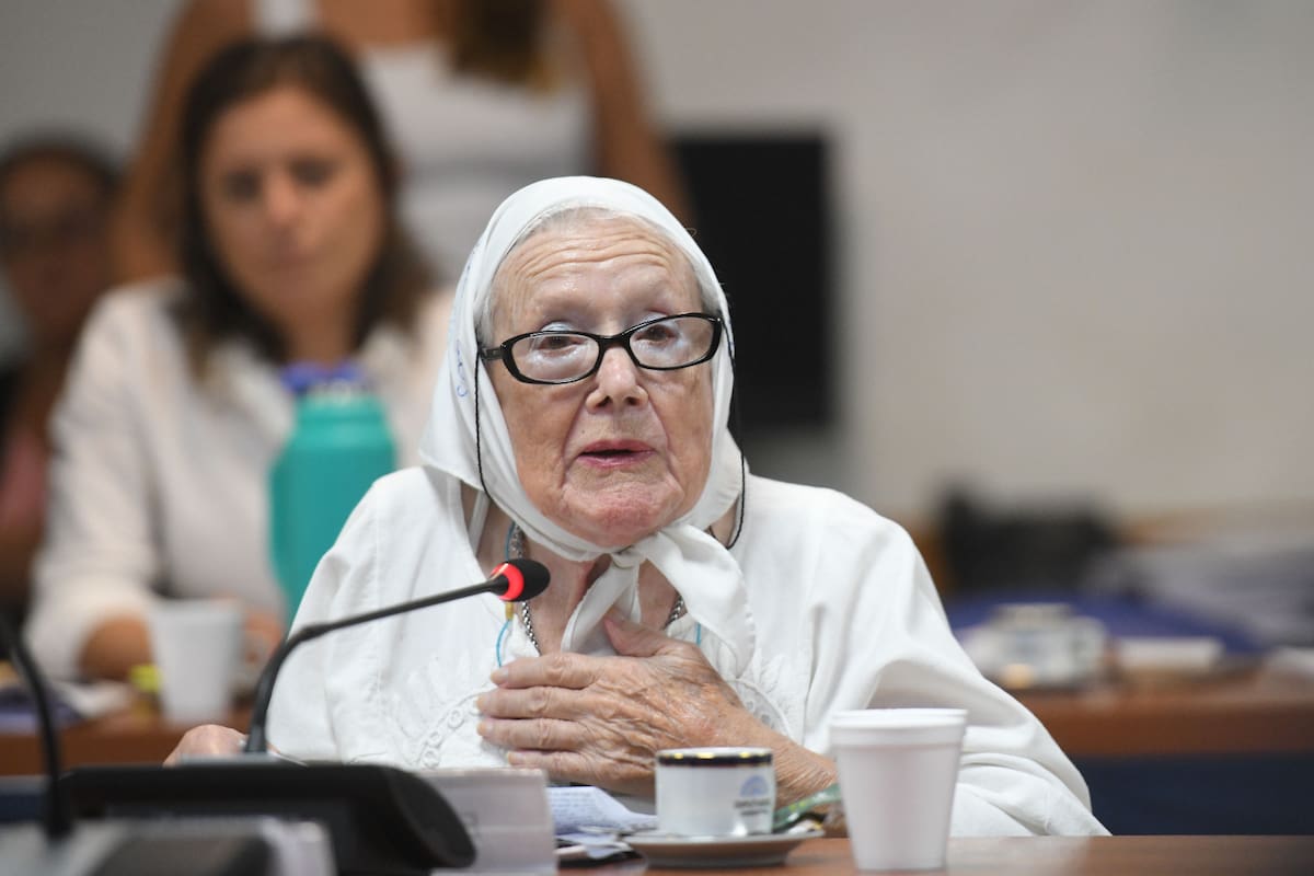 Nora Cortiñas, de Madres de Plaza de Mayo Línea Fundadora, expone en la Comisión de Juicio Político