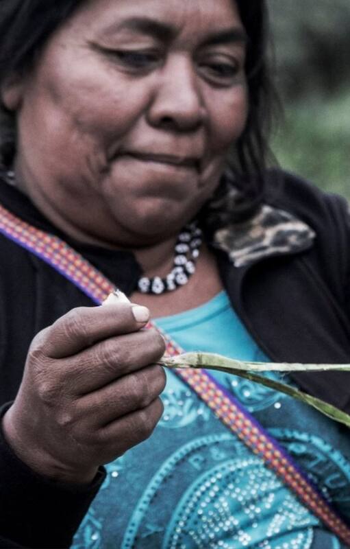 Norma sabe trabajar muy bien el chaguar, una bromelia que crece en el monte. Como le enseñó su madre y como saben todas las mujeres wichi ella extrae las fibras que luego transformará en hilos para sus tejidos