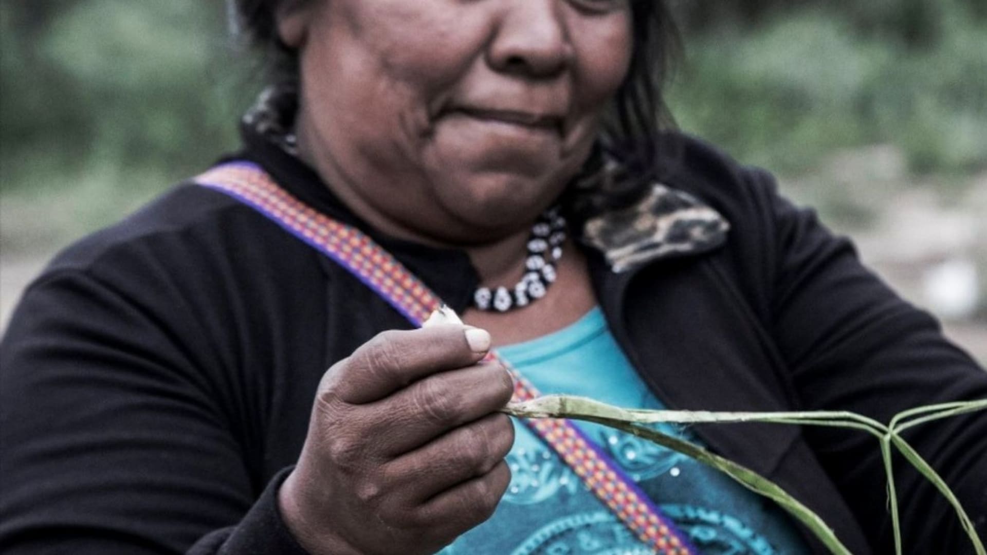 Norma sabe trabajar muy bien el chaguar, una bromelia que crece en el monte. Como le enseñó su madre y como saben todas las mujeres wichi ella extrae las fibras que luego transformará en hilos para sus tejidos