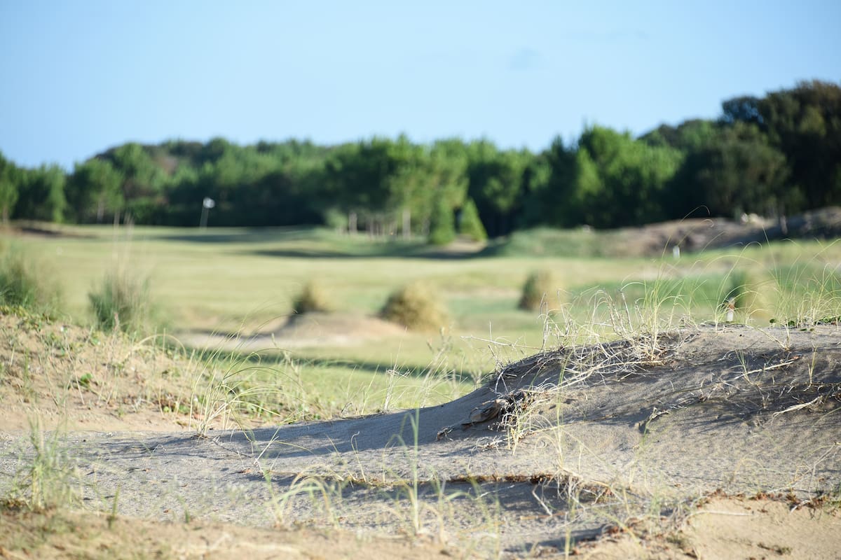 Northbeach, el pueblo de mar que además de terrenos tiene edificios, departamentos y un centro comercial