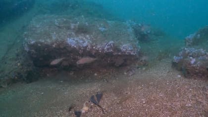 Northumberland se encuentra en arenas movedizas y existe la posibilidad de que se sepulte nuevamente durante décadas