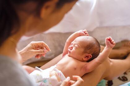 Nos acompañan toda la vida, pero no son la única variable para la construcción de personalidades cautivadoras, entonces, ¿qué se esconde detrás del afán de elegirlos cada vez más extraños?