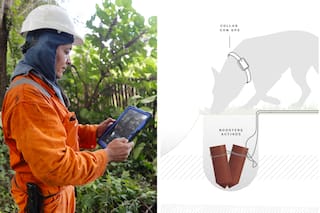 Así trabaja el equipo de expertos internacionales que desactivan minas enterradas en la Argentina