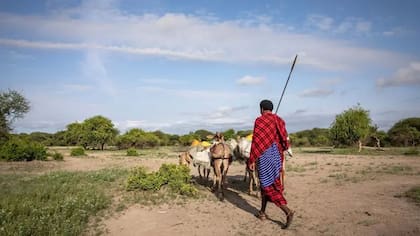 La Unesco es cada vez más consciente de que los sitios declarados Patrimonio de la Humanidad son propensos a sufrir saturación turística.