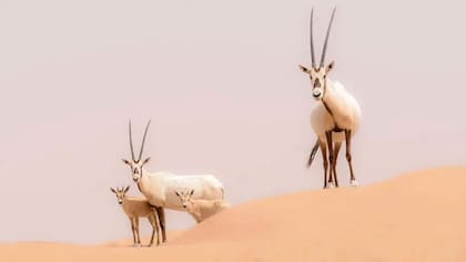 La Unesco no puede catalogar un sitio como “en peligro” a causa del turismo que el propio organismo contribuyó a generar