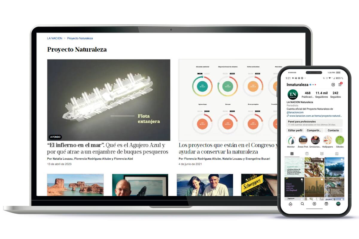 Notas de Proyecto Naturaleza en la web de LA NACION y su Instagram